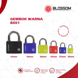 Blossom BX01